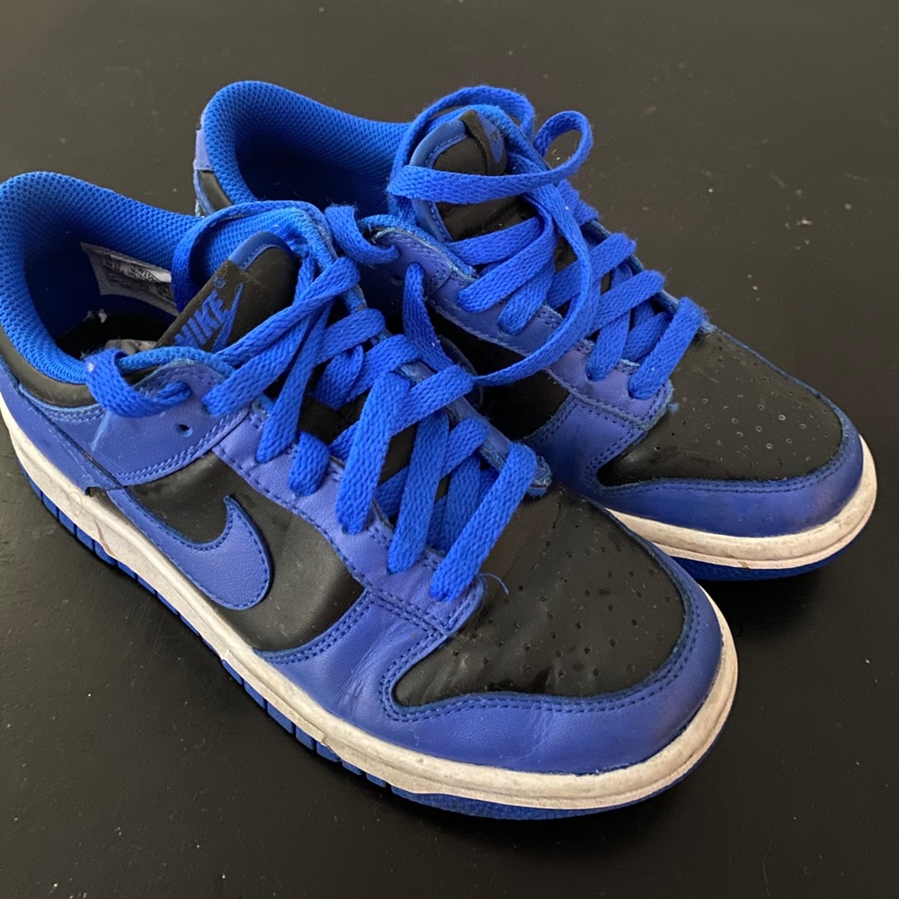 Big Kids Nike Dunks.